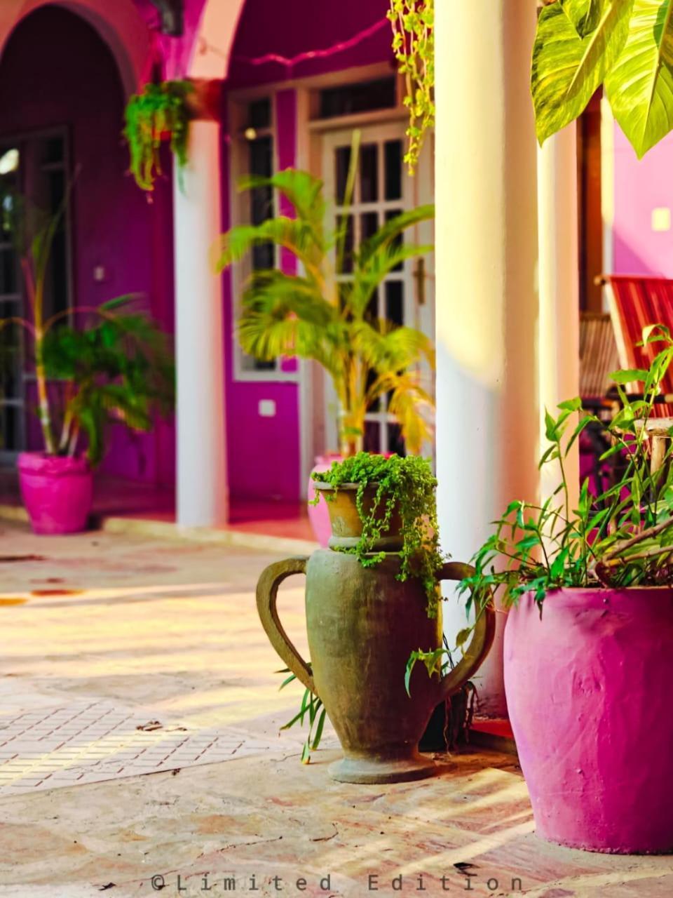 Nungwi Roses Villa Exterior photo